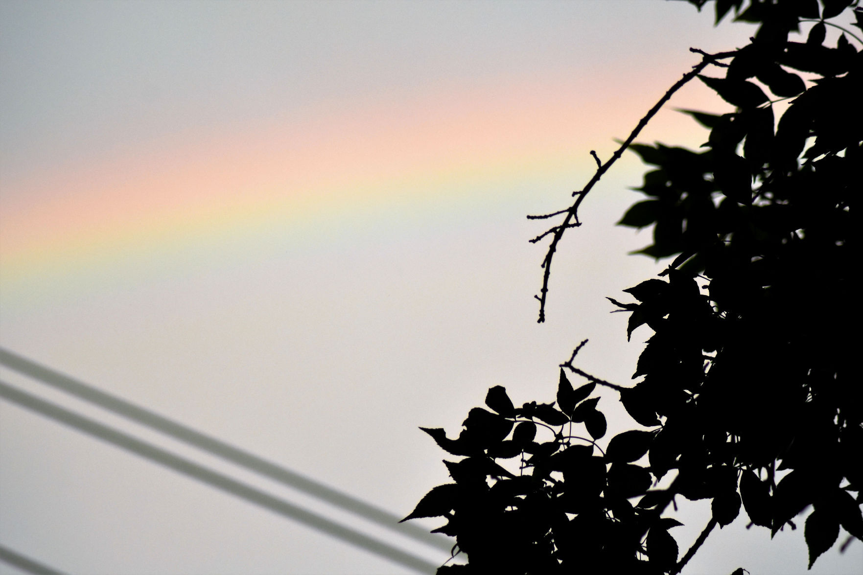 Rainbow